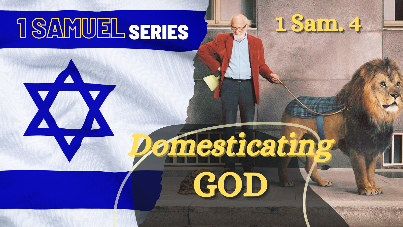 Domesticating God